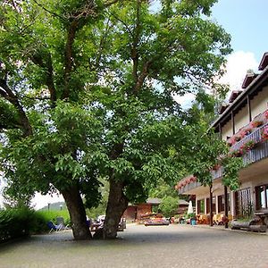 Hotel Ganzaie